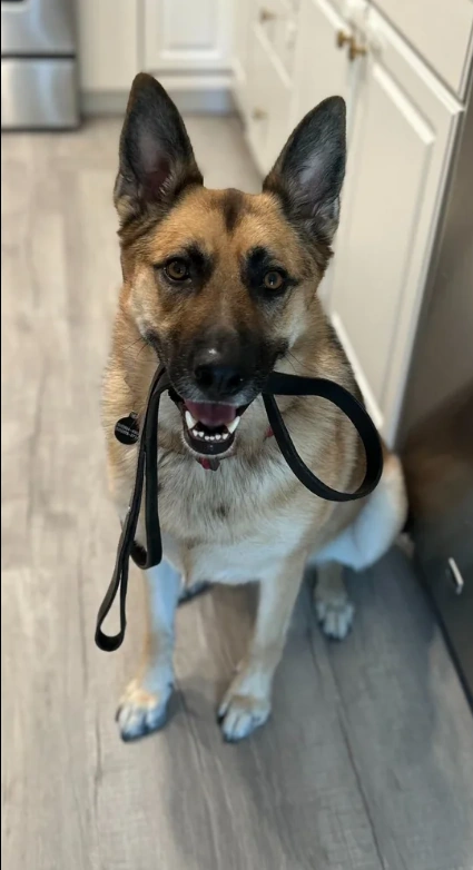 A happy Diamond Dogs graduate